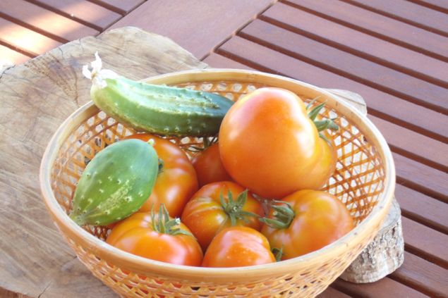 Our eco grown vegetables.Nothing can beat this.Only the best for Our guests!